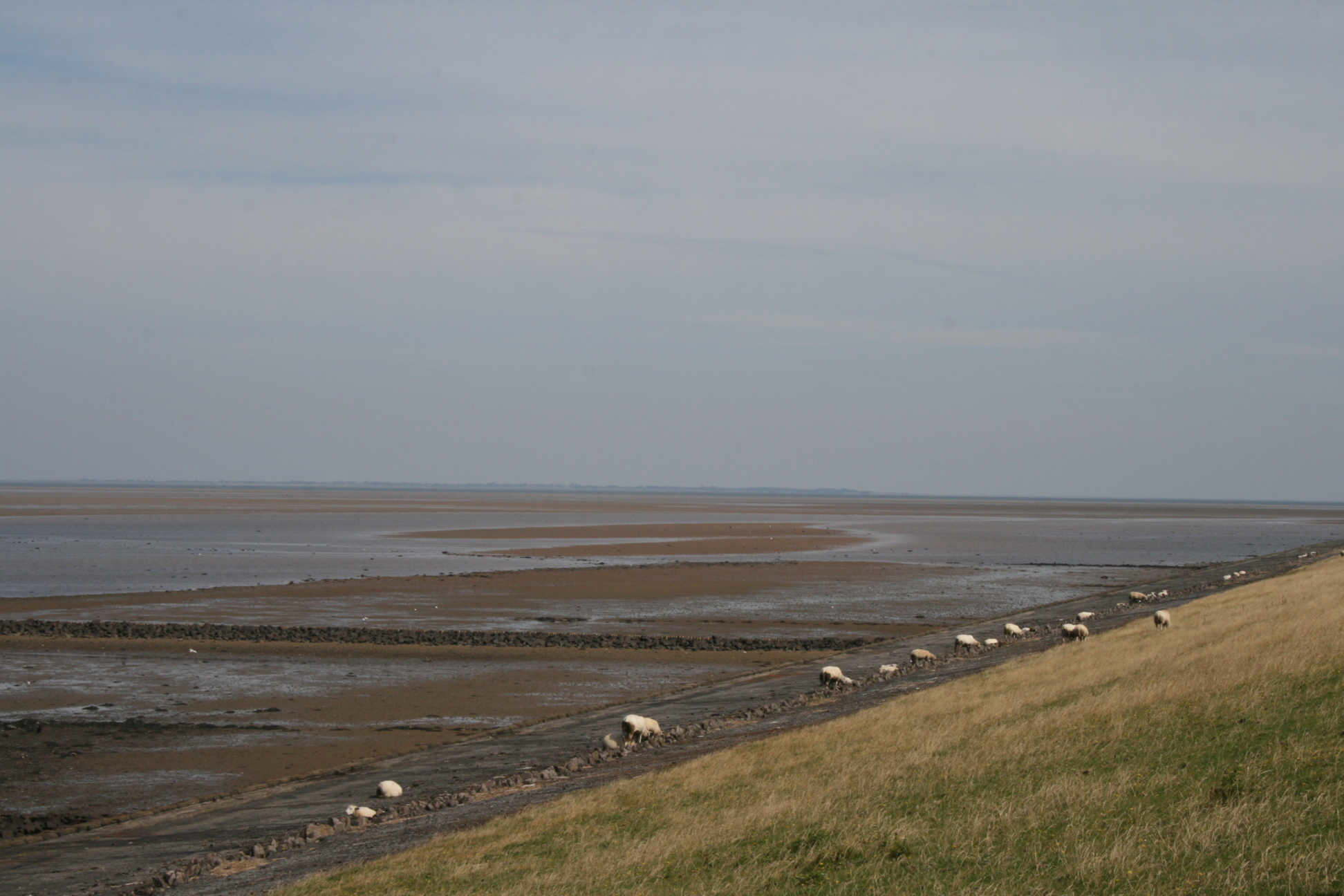 Blick nach Sylt 2