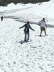 zell am see 4